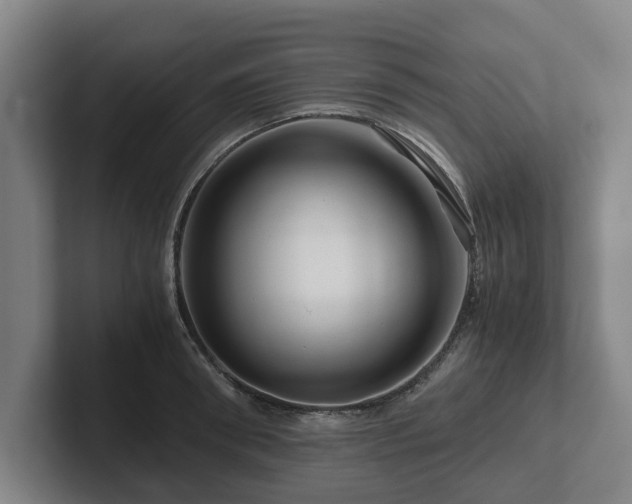 X0000101960898200807251152