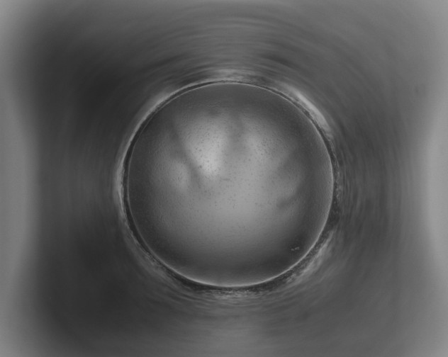 X0000101960899200807251152