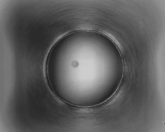 X0000101960901200807251152