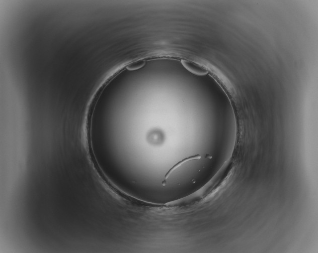 X0000101960902200807251152