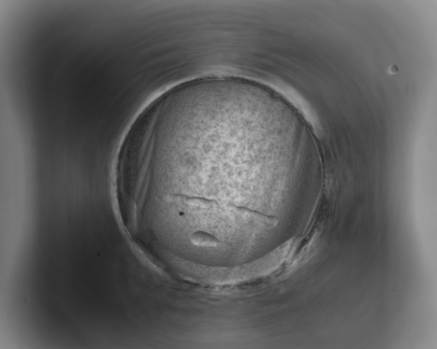 X0000101960903200807251152