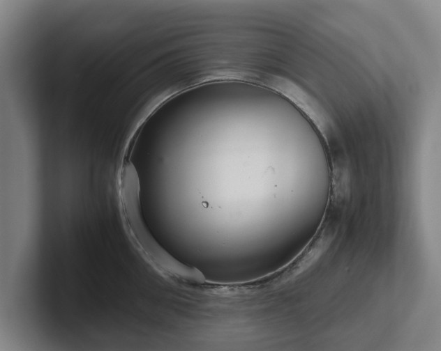 X0000101960906200807251152