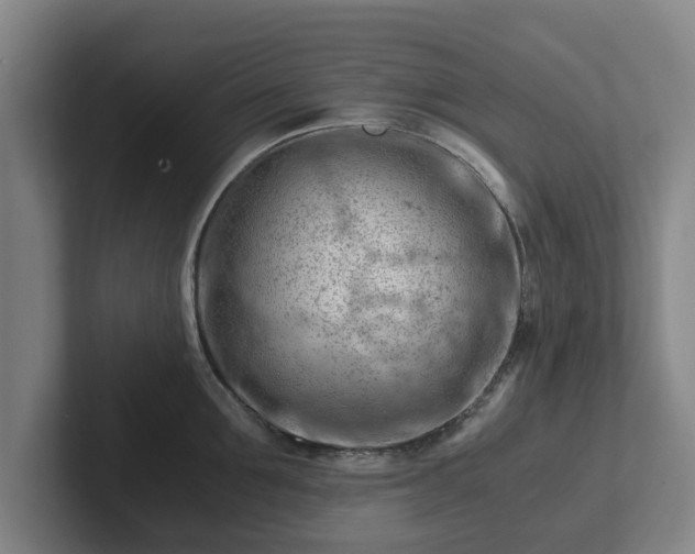 X0000101960907200807251152