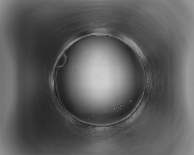 X0000101960908200807251152