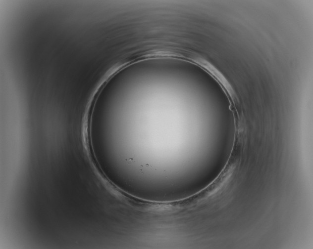 X0000101960909200807251152