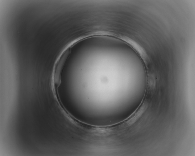 X0000101960910200807251152