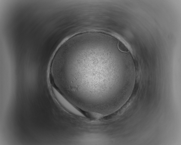 X0000101960911200807251152