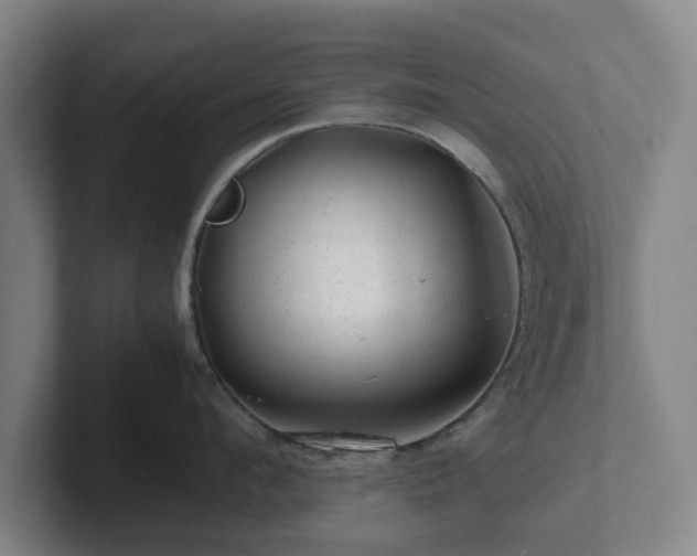 X0000101960912200807251152