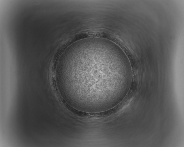 X0000101960913200807251151