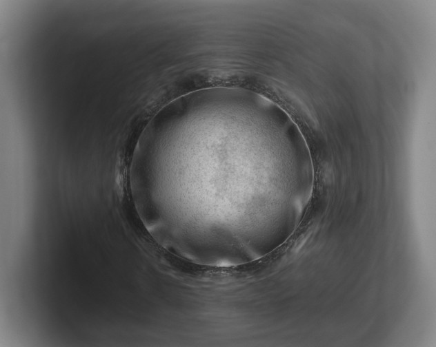 X0000101960914200807251151