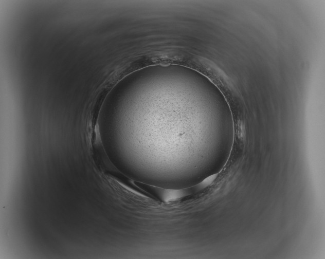 X0000101960915200807251151