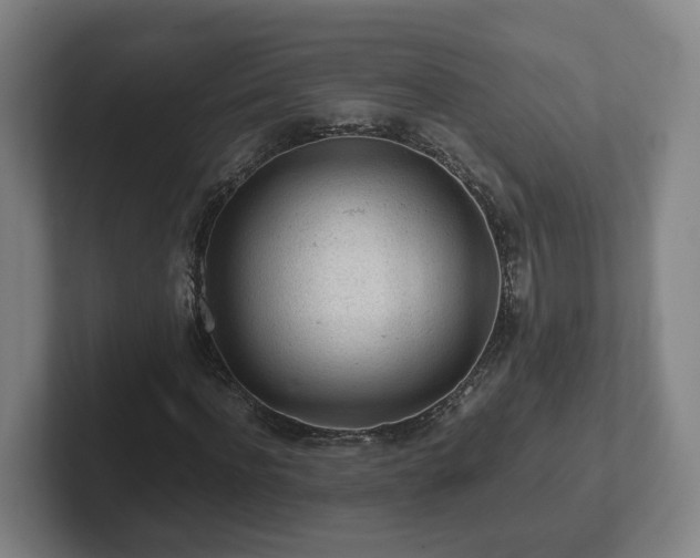 X0000101960916200807251151