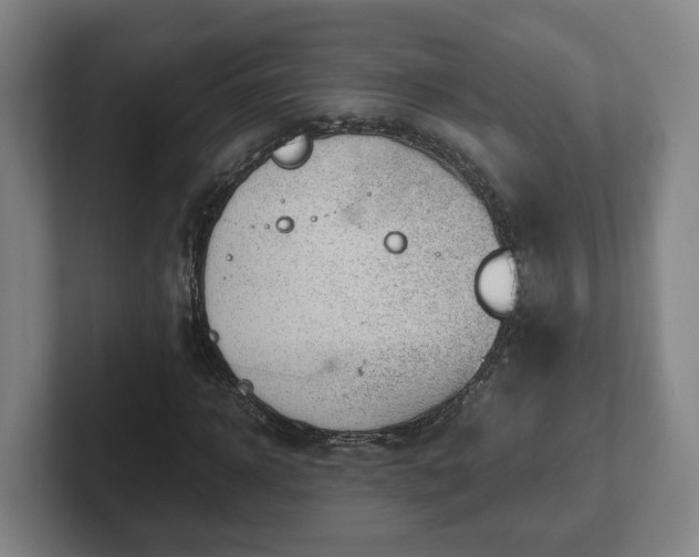 X0000101960918200807251151