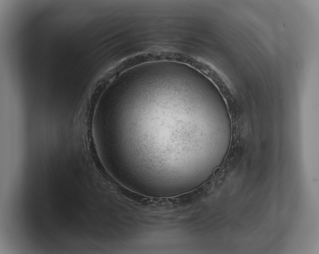 X0000101960919200807251151