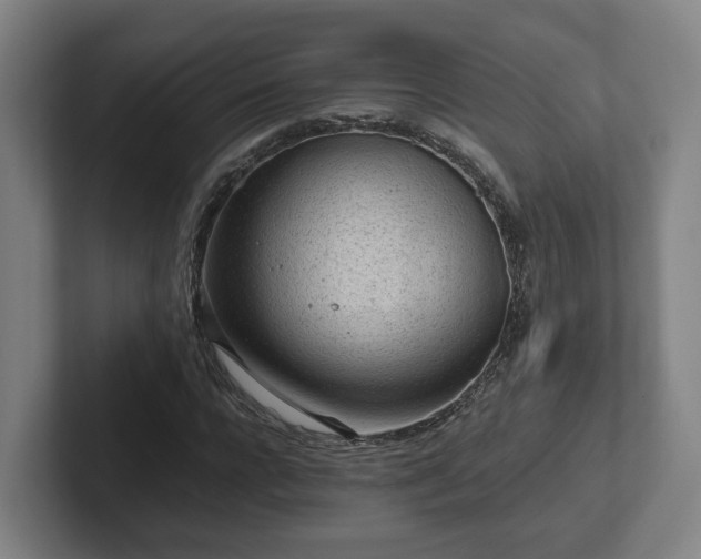 X0000101960920200807251151