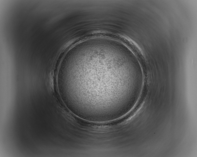 X0000101960921200807251151