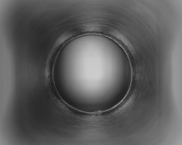 X0000101960922200807251151