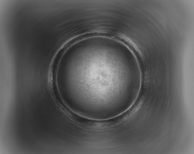 X0000101960923200807251151