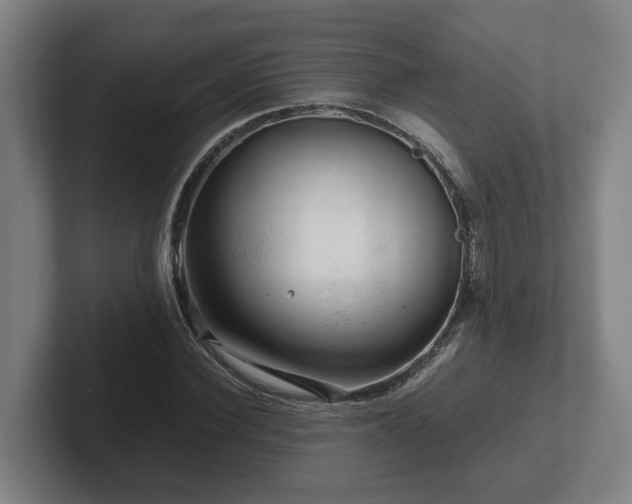 X0000101960924200807251151