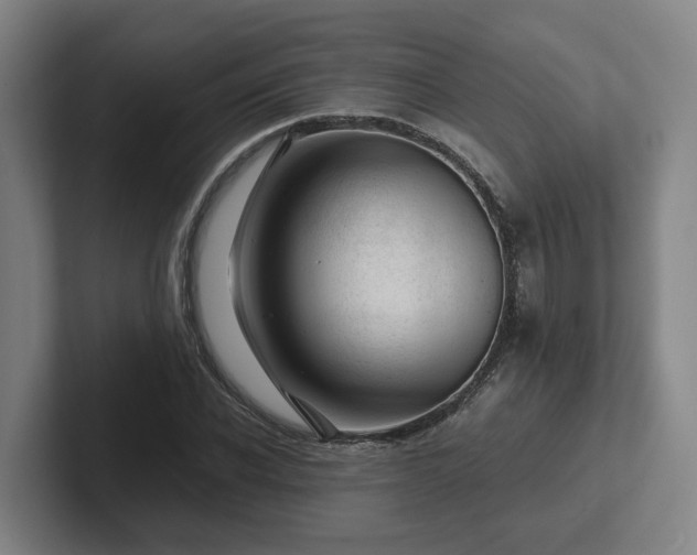 X0000101960926200807251151