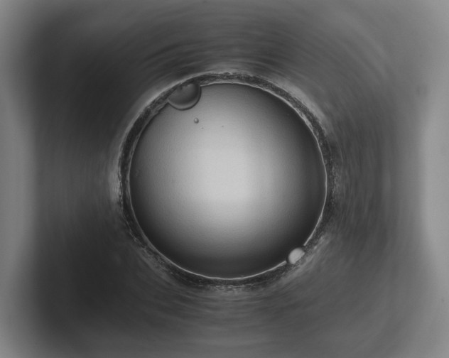 X0000101960927200807251151