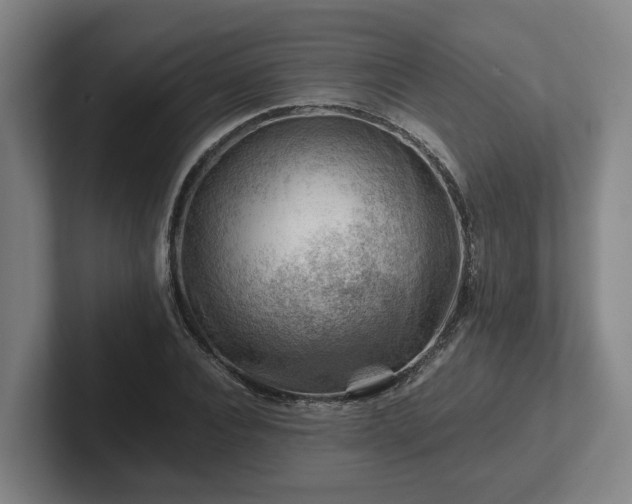 X0000101960928200807251151