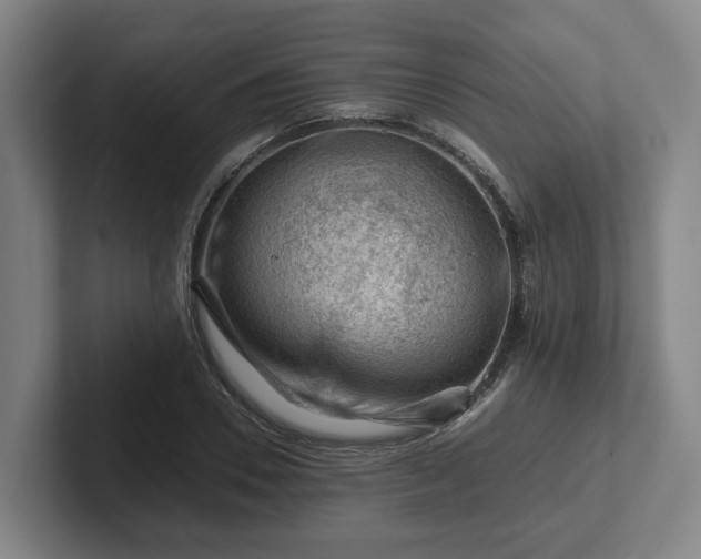 X0000101960930200807251151