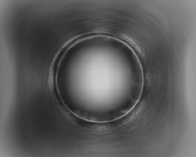 X0000101960931200807251151