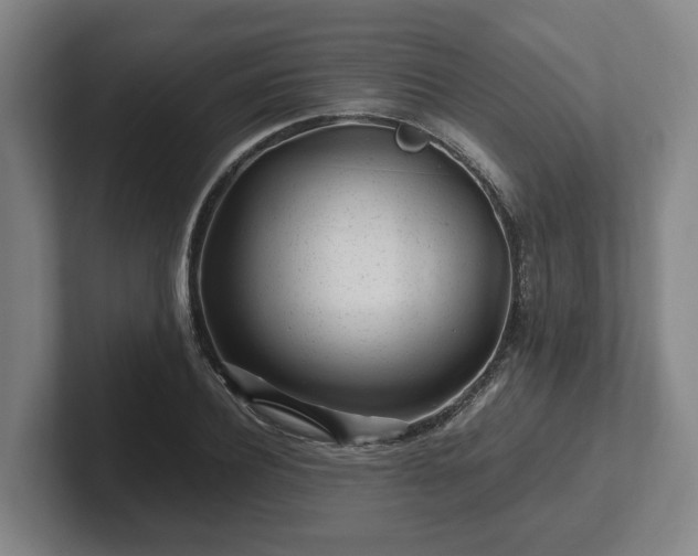 X0000101960932200807251151