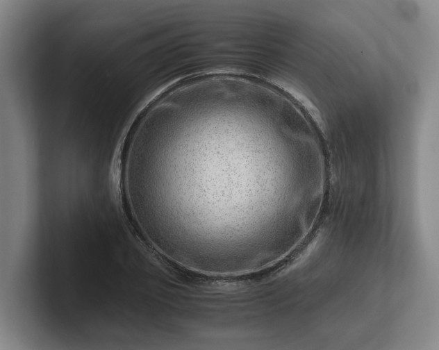 X0000101960933200807251151