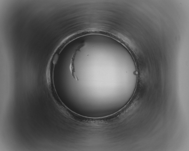 X0000101960934200807251151