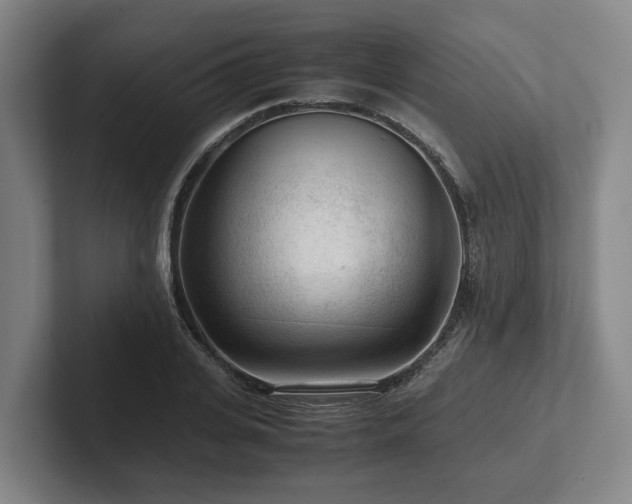 X0000101960935200807251151