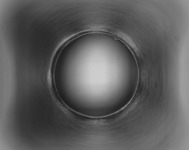 X0000101960936200807251151