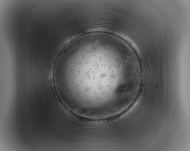 X0000101960937200807251151