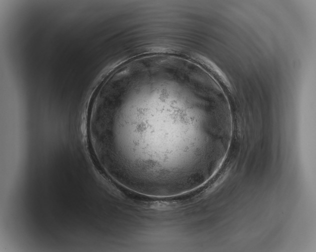 X0000101960938200807251152