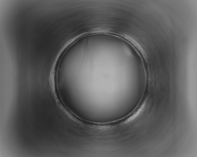 X0000101960941200807251152