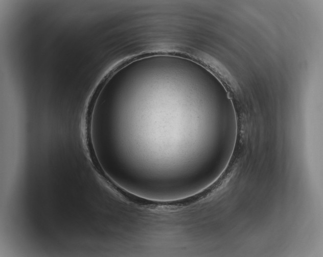 X0000101960942200807251152