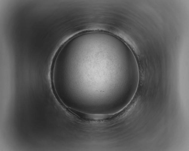 X0000101960943200807251152