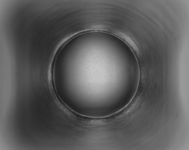 X0000101960944200807251152