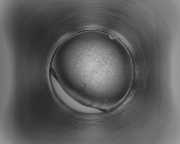 X0000101960946200807251152