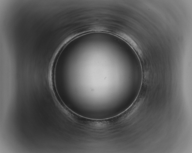 X0000101960947200807251152