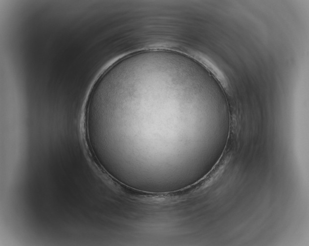 X0000101960948200807251152