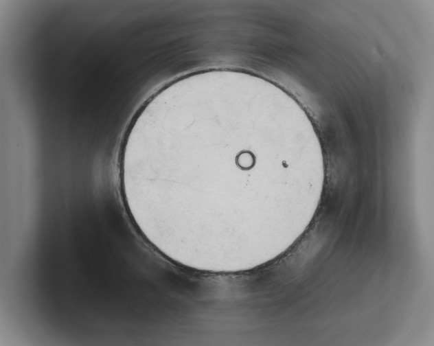 X0000101960950200807251152