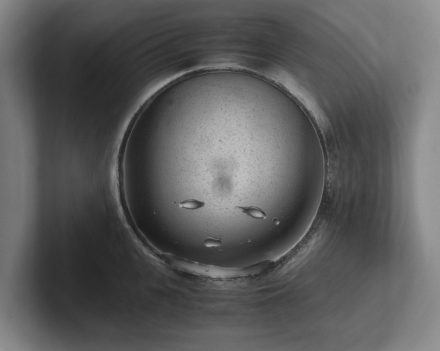 X0000101960951200807251152