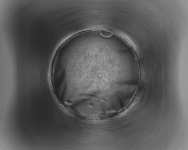 X0000101960952200807251152