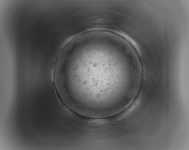 X0000101960953200807251152