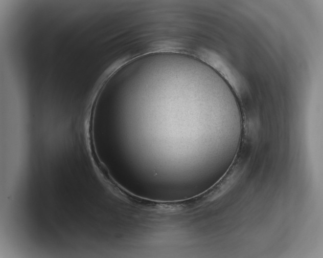 X0000101960954200807251152