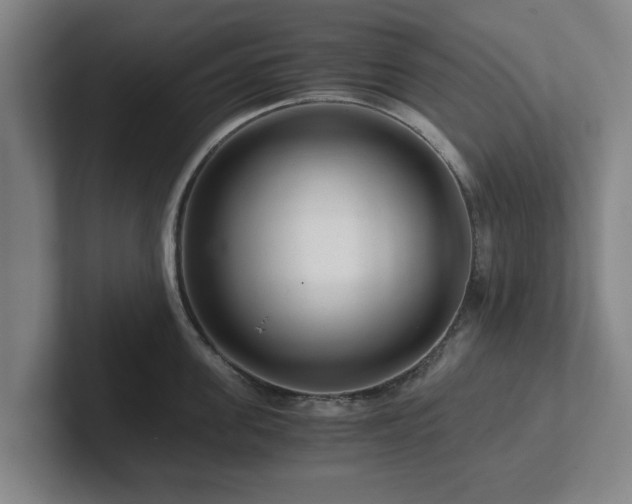 X0000101960955200807251152