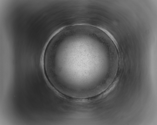 X0000101960957200807251152