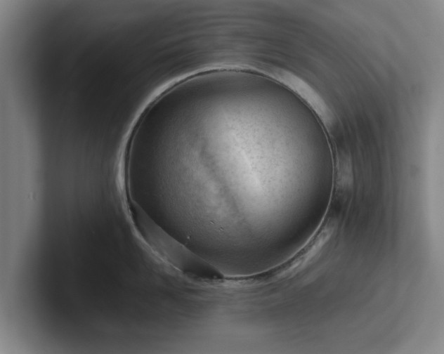 X0000101960958200807251152